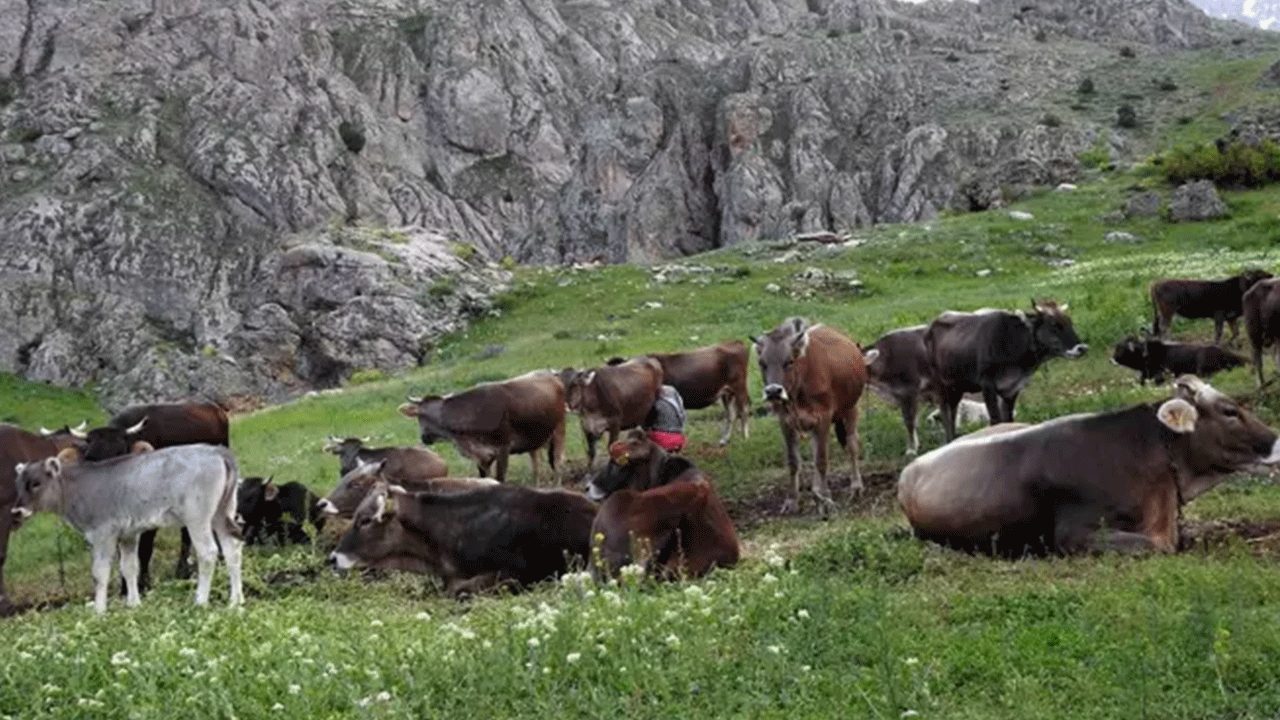 Bu mesleğe işçi bulunamıyor: Maaşı 60 bin lira ama başvuran yok!