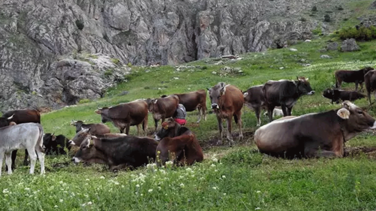 Foto - Bu mesleğe işçi bulunamıyor: Maaşı 60 bin lira ama başvuran yok!