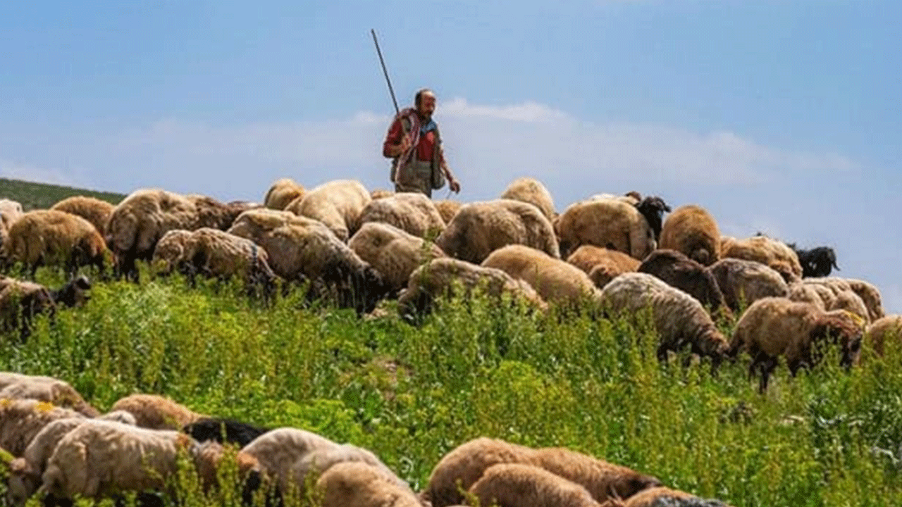 Foto - Bu mesleğe işçi bulunamıyor: Maaşı 60 bin lira ama başvuran yok!