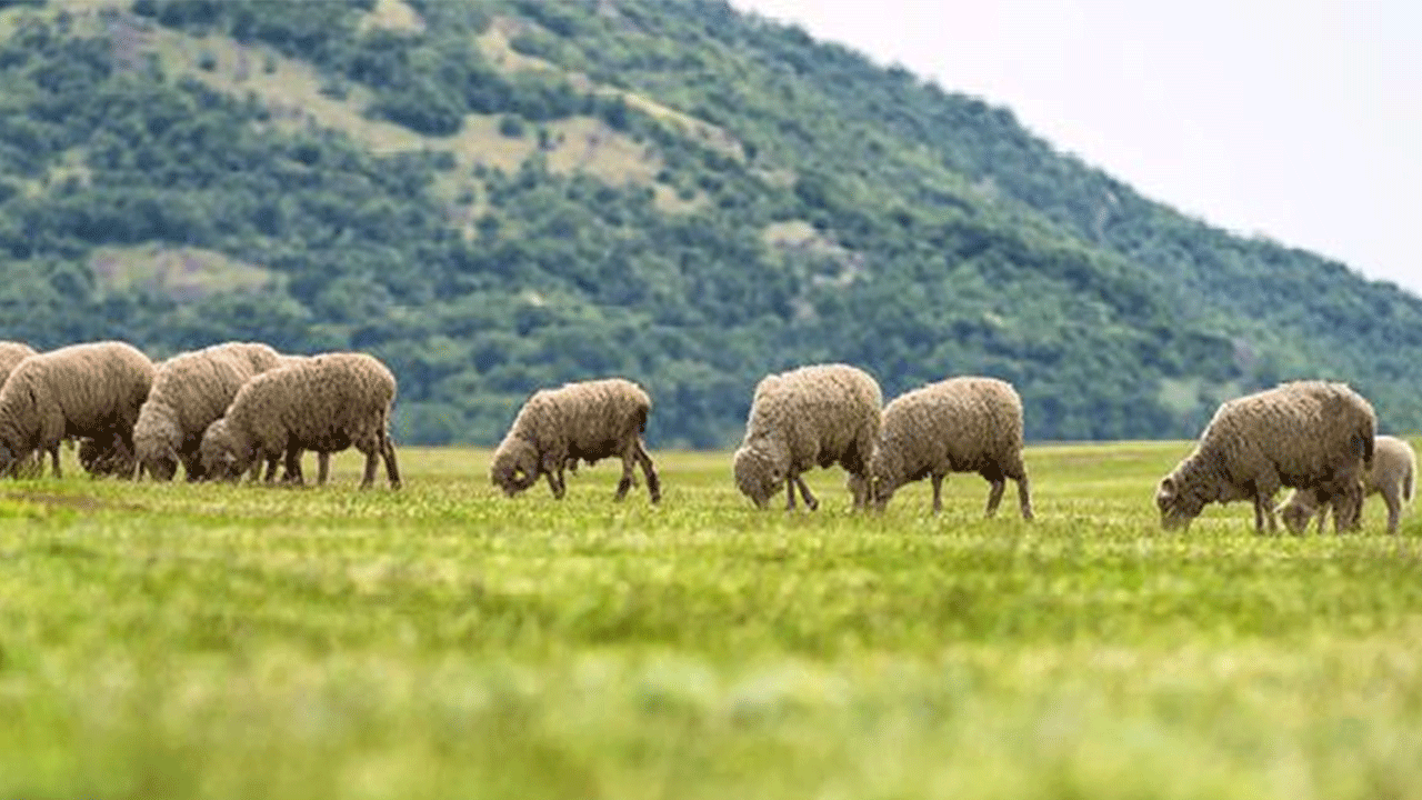 Foto - Bu mesleğe işçi bulunamıyor: Maaşı 60 bin lira ama başvuran yok!