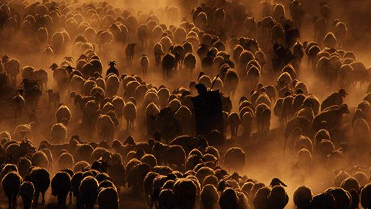 Foto - Bu mesleğe işçi bulunamıyor: Maaşı 60 bin lira ama başvuran yok!