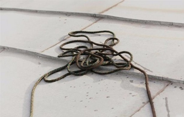 Foto - Bu meslekler öyle zor ki!