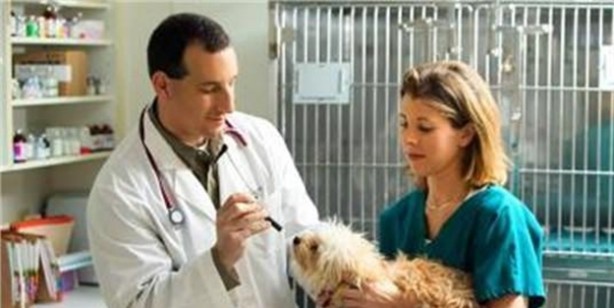 Foto - Bu mesleklere dikkat edin