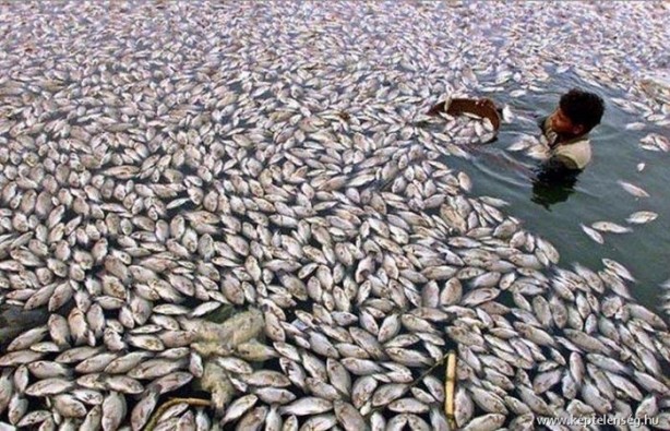 Foto - Bu meslekleri yapanların işi çok zor