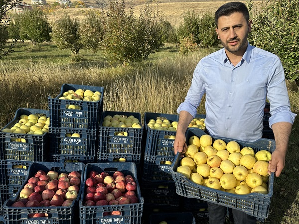 Foto - Bu meyve 30 yıl önce İran'dan getirildi! 100 ton hasat bekleniyor