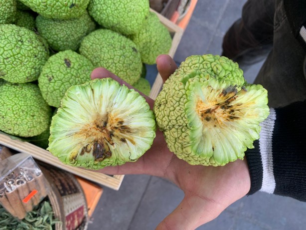 Foto - Bu meyve ağrıyı anında kesiyor! Kesinlikle yenmiyor