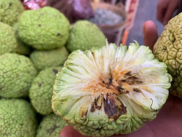 Foto - Bu meyve ağrıyı anında kesiyor! Kesinlikle yenmiyor