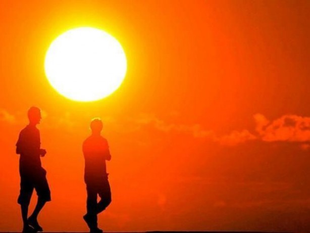 Foto - Bu meyve, hem kilo hem selülitleri yok ediyor! Dolabınızda olması gereken 8 meyve hazine! Duyan harekete geçti!