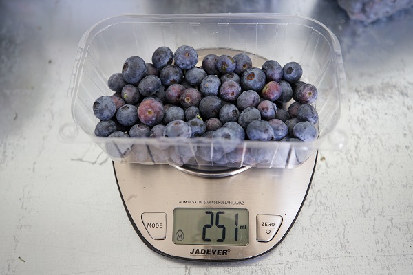 Foto - Bu meyve saksılarda üretiliyor! Dünyanın dört bir yanından talep yağıyor