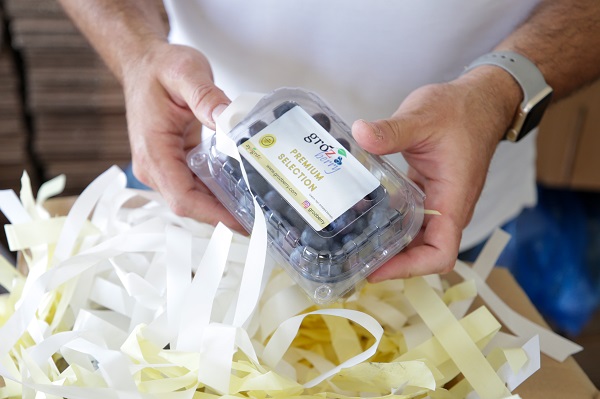 Foto - Bu meyve saksılarda üretiliyor! Dünyanın dört bir yanından talep yağıyor