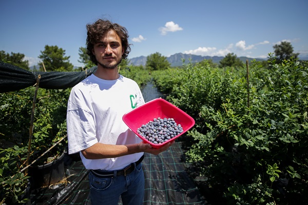 Foto - Bu meyve saksılarda üretiliyor! Dünyanın dört bir yanından talep yağıyor