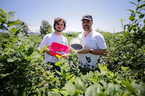 Foto - Bu meyve saksılarda üretiliyor! Dünyanın dört bir yanından talep yağıyor