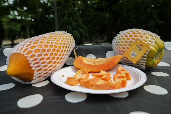 Foto - Bu meyve şifa deposu! Ülkemizde yaygınlaşıyor