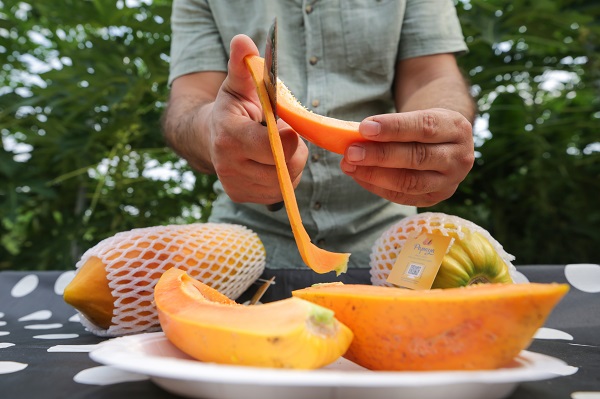 Bu meyve şifa deposu! Ülkemizde yaygınlaşıyor