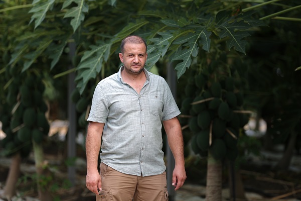 Foto - Bu meyve şifa deposu! Ülkemizde yaygınlaşıyor