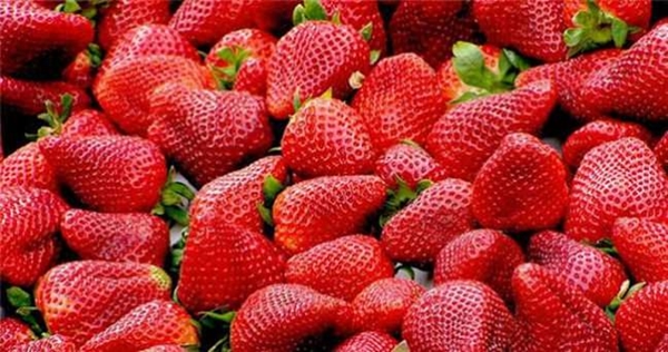 Foto - Bu meyveler bel inceltiyor