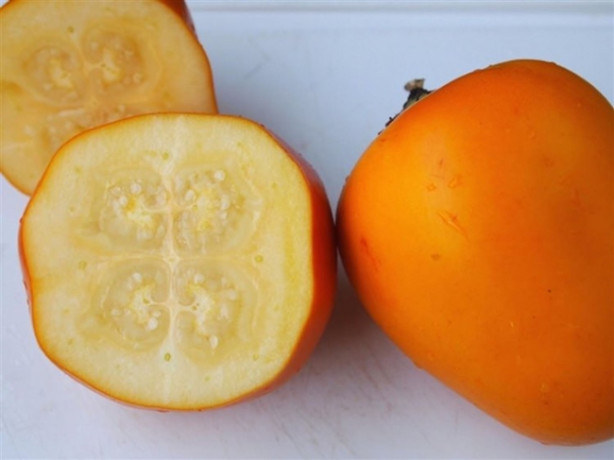 Foto - Bu meyveleri ne gördünüz ne duydunuz! 