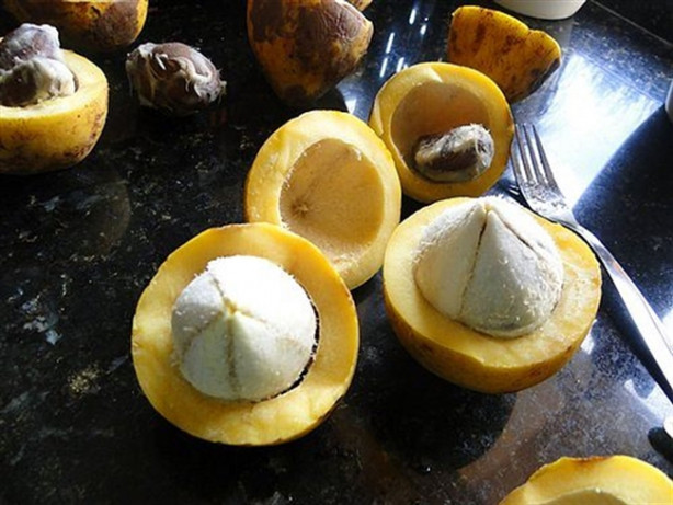 Foto - Bu meyveleri ne gördünüz ne duydunuz! 