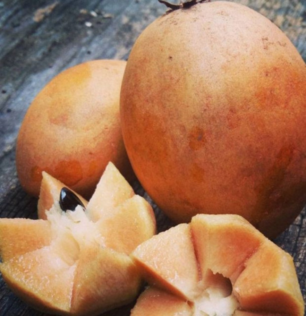 Foto - Bu meyveleri pazarlarda görmeniz imkansız!