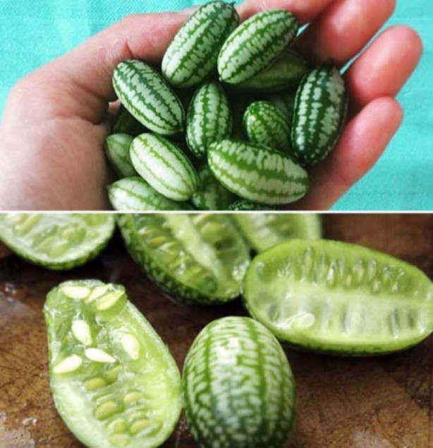 Foto - Bu meyveleri pazarlarda görmeniz imkansız!