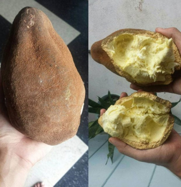 Foto - Bu meyveleri pazarlarda görmeniz imkansız!