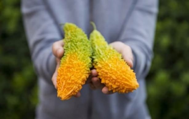 Foto - Bu meyvenin faydaları saymakla bitmiyor!