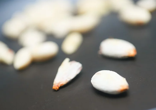 Foto - Bu meyveyi daha önce gördünüz mü? Cilde iyi geliyor!