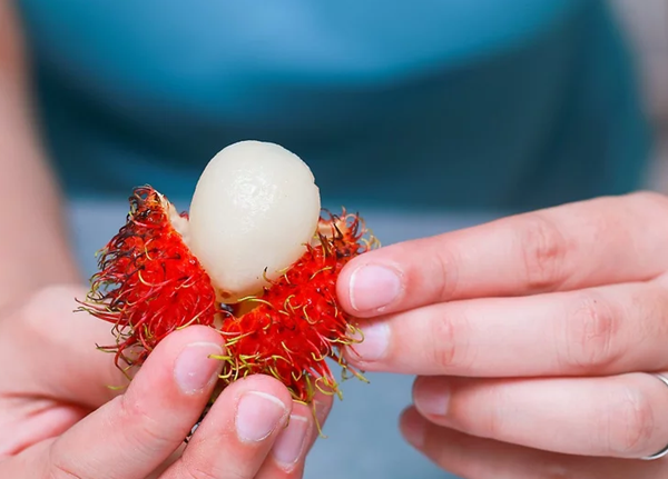 Foto - Bu meyveyi daha önce gördünüz mü? Cilde iyi geliyor!