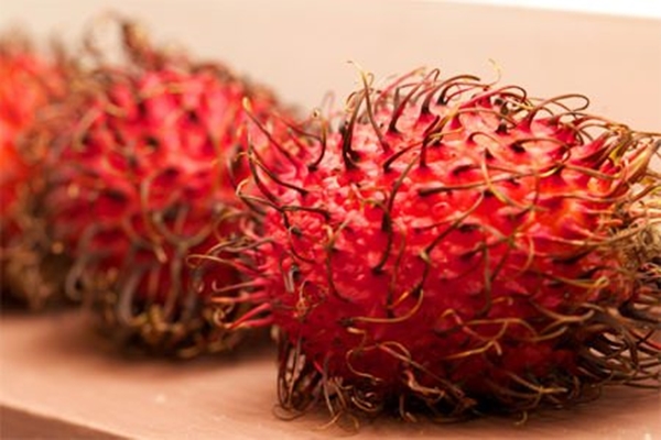 Foto - Bu meyveyi daha önce gördünüz mü? Cilde iyi geliyor!