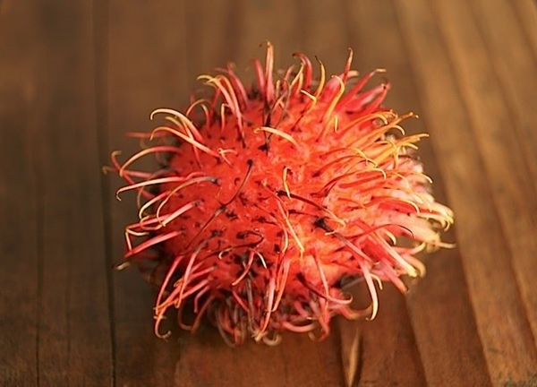 Foto - Bu meyveyi daha önce gördünüz mü? Cilde iyi geliyor!