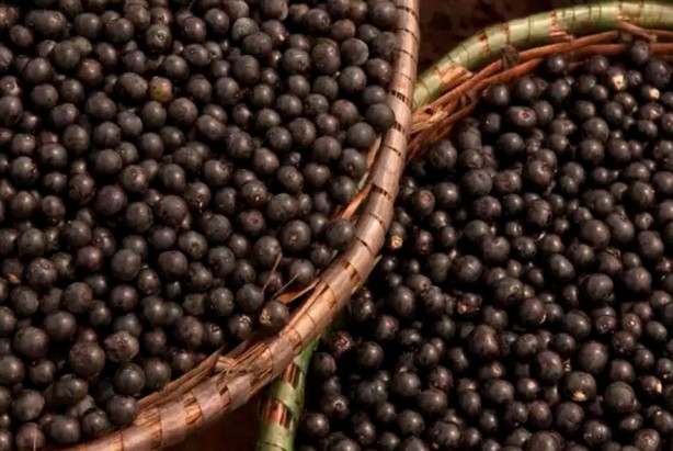 Foto - Bu meyveyi tüketenler hastane yüzü görmüyor