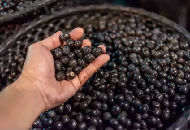 Foto - Bu meyveyi tüketenler hastane yüzü görmüyor