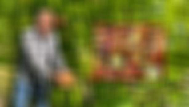 Bu meyveyi yiyen yıllarca doktor yüzü görmüyor! Çok az kişinin bildiği acayip bir şey! Zıpkın gibi, fişek gibi, demir gibi yapıyor