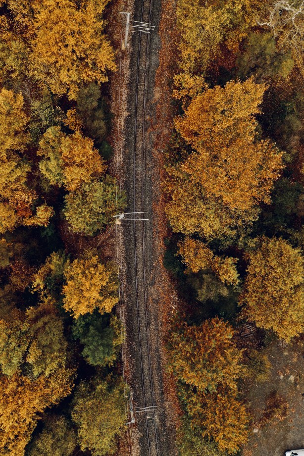 Foto - Bu muhteşem görüntüler Adana'dan