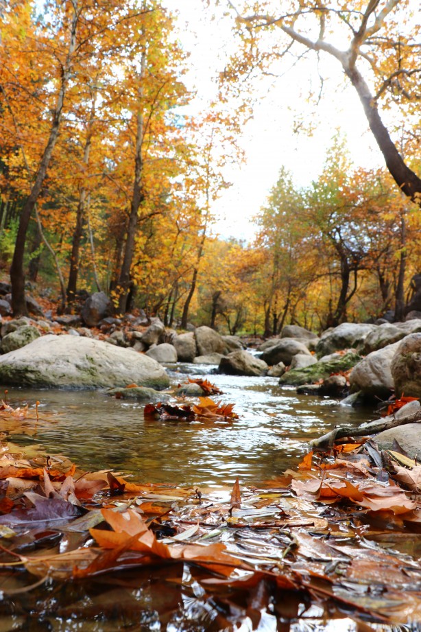Foto - Bu muhteşem görüntüler Adana'dan