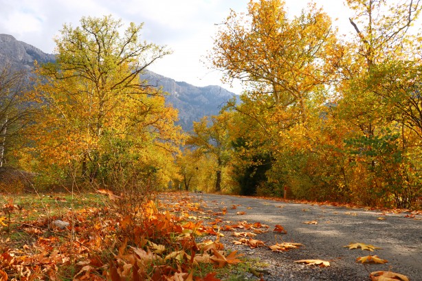 Foto - Bu muhteşem görüntüler Adana'dan