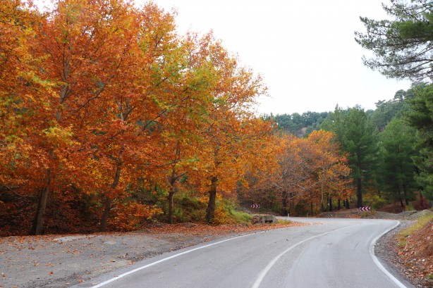 Foto - Bu muhteşem görüntüler Adana'dan