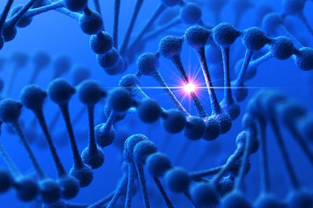 Bu mutasyon ilk kez Türkiye'de ortaya çıktı! Binlerce yıllık olay... Bilim insanları çaresiz kaldı