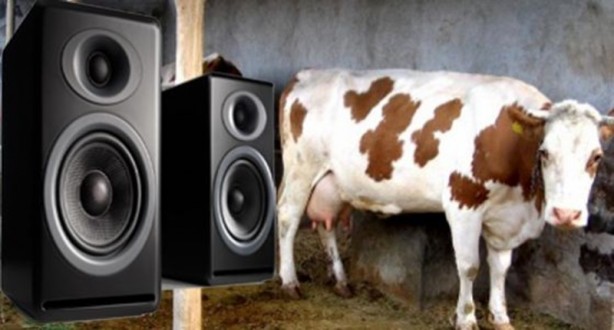 Foto - Bu mutasyon ilk kez Türkiye'de ortaya çıktı! Binlerce yıllık olay... Bilim insanları çaresiz kaldı