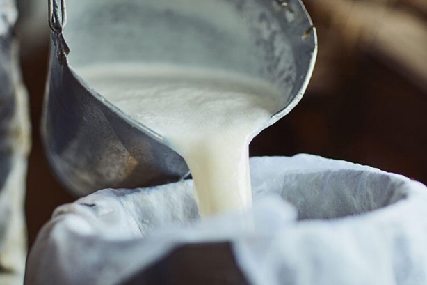 Foto - Bu mutasyon ilk kez Türkiye'de ortaya çıktı! Binlerce yıllık olay... Bilim insanları çaresiz kaldı