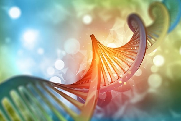 Foto - Bu mutasyon ilk kez Türkiye'de ortaya çıktı! Binlerce yıllık olay... Bilim insanları çaresiz kaldı