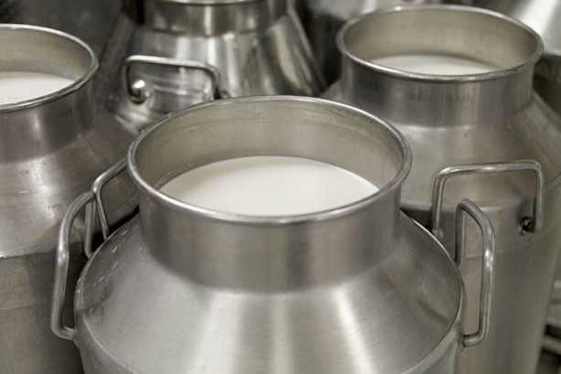 Foto - Bu mutasyon ilk kez Türkiye'de ortaya çıktı! Binlerce yıllık olay... Bilim insanları çaresiz kaldı