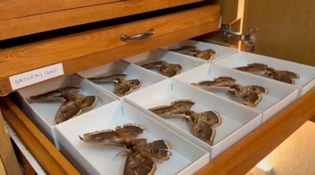 Foto - Bu müzeye girmek bazılarını ürkütüyor