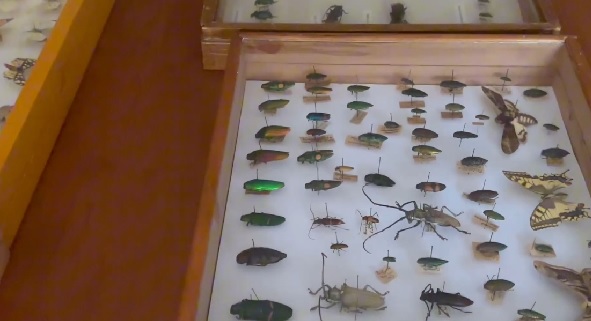 Foto - Bu müzeye girmek bazılarını ürkütüyor