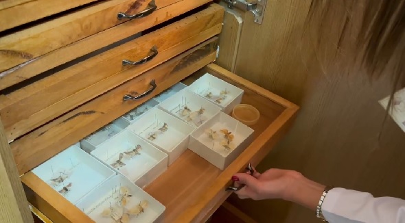 Foto - Bu müzeye girmek bazılarını ürkütüyor