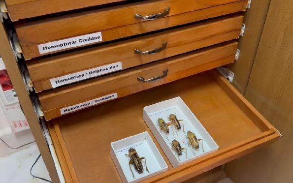 Foto - Bu müzeye girmek bazılarını ürkütüyor