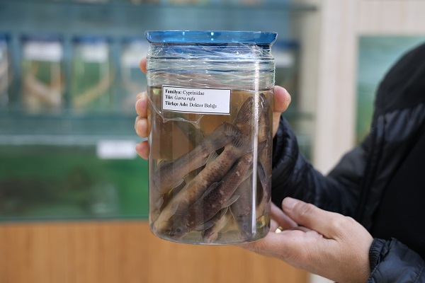 Foto - Bu müzeye ilgi çok yoğun