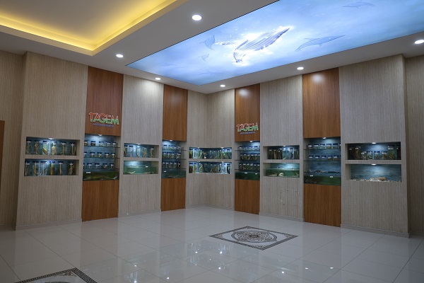 Foto - Bu müzeye ilgi çok yoğun