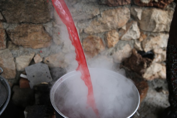 Foto - Bu narlar asırlık ağaçlarda yetişiyor