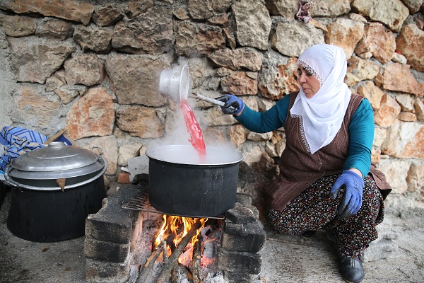 Foto - Bu narlar asırlık ağaçlarda yetişiyor